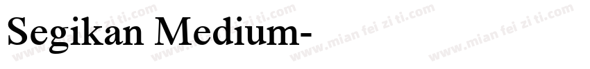 Segikan Medium字体转换